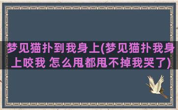 梦见猫扑到我身上(梦见猫扑我身上咬我 怎么甩都甩不掉我哭了)